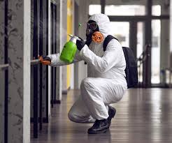 Best Residential Mold Inspection & Testing in Port Morris, NJ